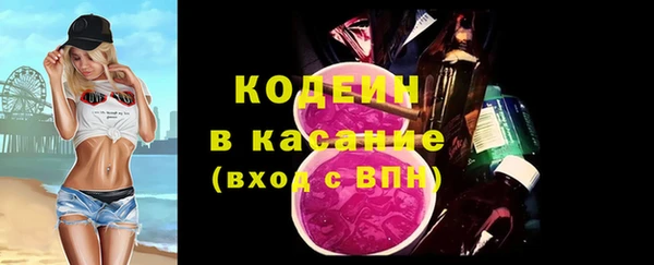 шишки Верхний Тагил