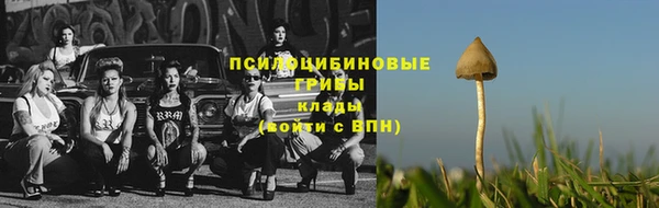 шишки Верхнеуральск