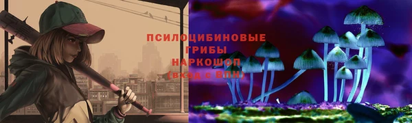 apvp Верея