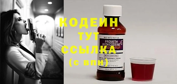 шишки Верхний Тагил