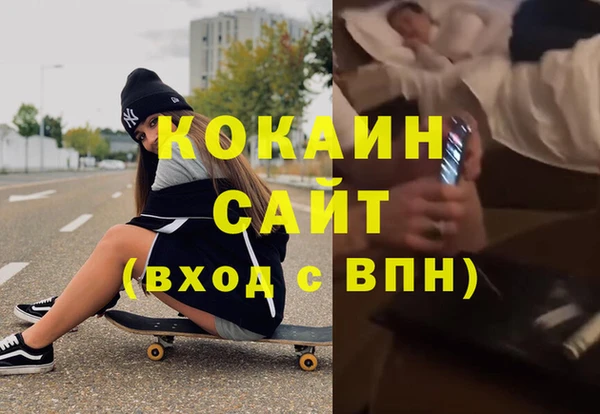 шишки Верхний Тагил