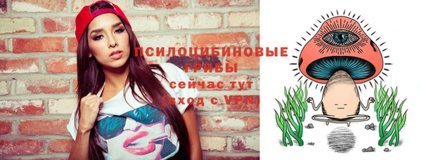 шишки Верхний Тагил