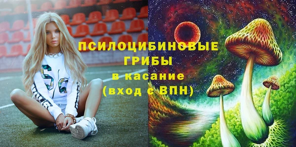 apvp Верея