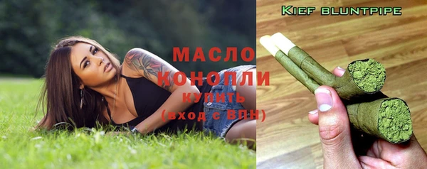 шишки Верхний Тагил