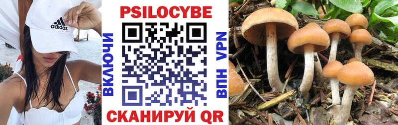 Псилоцибиновые грибы мицелий  Рыбинск 